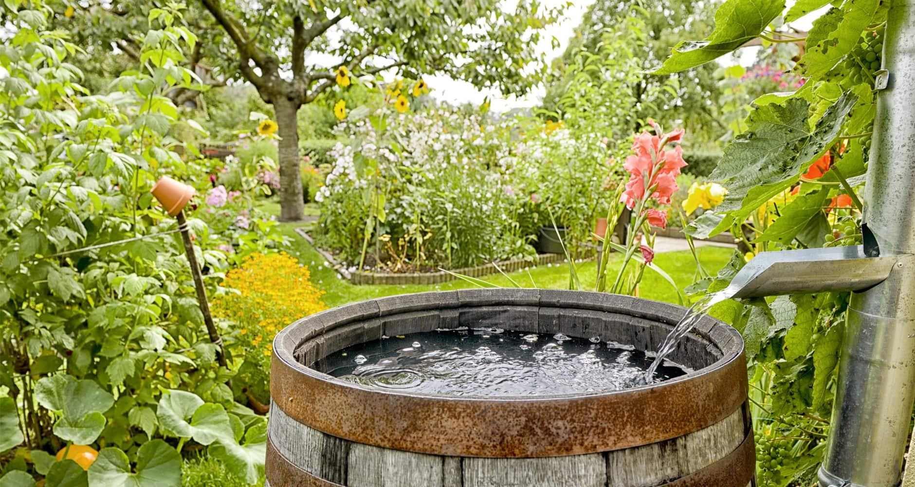 Illustration pour Collecte de l'eau de pluie en 2023: le guide complet pour les particuliers